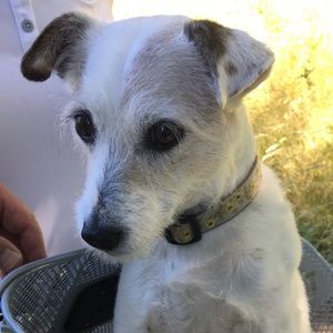 Meet your Posher, Robin